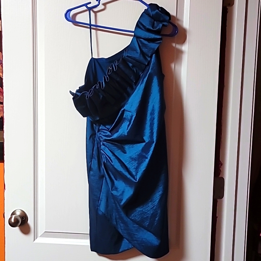 S L Fashions size 14 teal in color